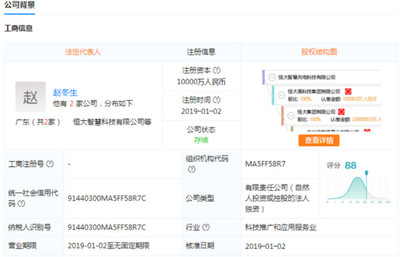 软件技术转让在半导体投资联盟中的战略意义与实践路径